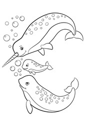 Coloring pages. Mother, father and baby narwhals. © ya_mayka