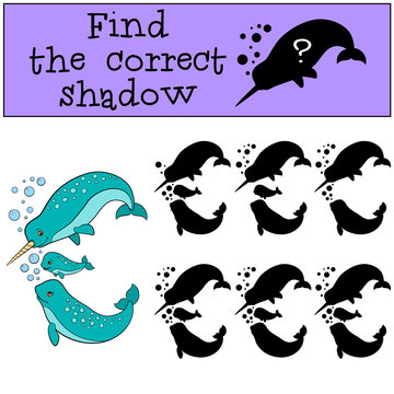 Educational game: Find the correct shadow. Narwhal family swims.