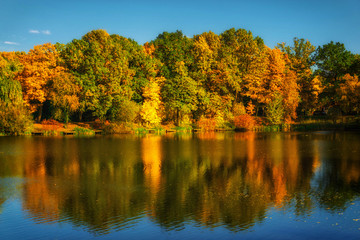 Fototapeta premium Beautiful colorful autumn.