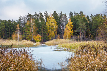 The first winter frosts in Siberia. The Ob River