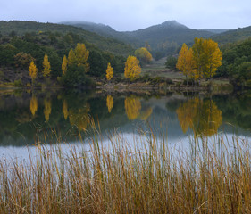 Otoño en el lago