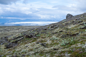 Skaftafellsjokull glacie one of the most impresive of Iceland