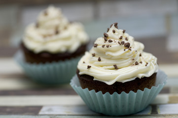 Chocolate and Vanilla cupcakes