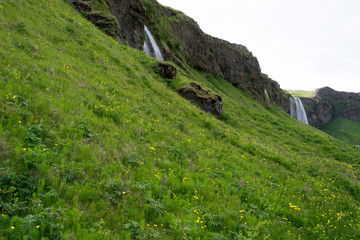 Seljalandsfoss waterfall in Iceland