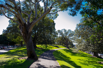Royal Botanical gardens