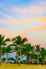 Fototapeta na wymiar Palm Ocean Sky