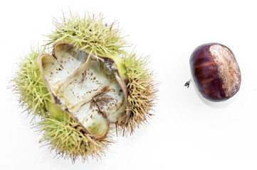 Autumn chestnuts detail