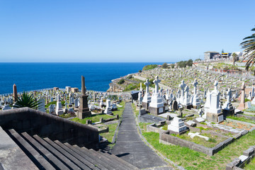 Waverley Cemetery in Sydney - 124628563