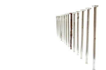 Old rusty nail between new ones