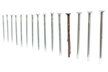 Old rusty nail between new ones