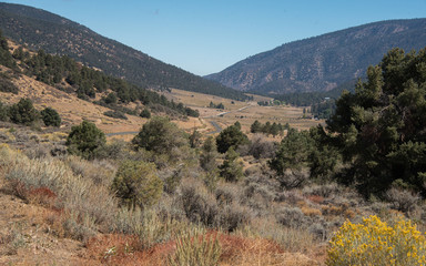 Views on the way to Mount Pinos