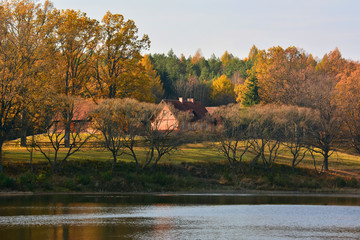 Lake in autumn forest