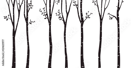 aspen tree clip art images - photo #20