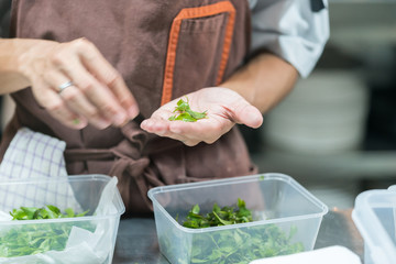 selecting vegetables
