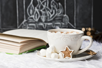 Obraz na płótnie Canvas Kakao mit Marshmallow auf Fell mit Buch