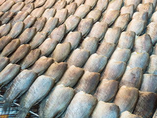 Dried salted gourami fish