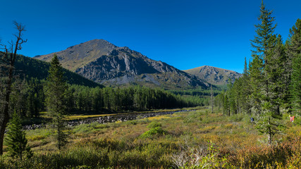 Obraz premium Krepkaya river in the Altai mountains, Russia