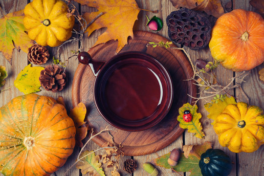 Thanksgiving dinner background with plate. Autumn pumpkin and fall leaves on wooden table. View from above