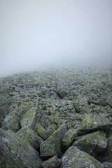 Tatry we mgle