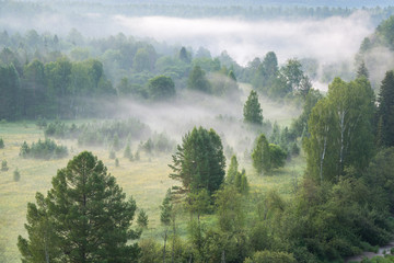 beautiful misty dawn in the Deer Springs Nature Park