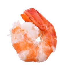 Shrimp boil white background