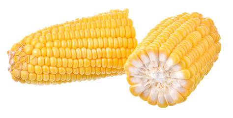 Corn white background