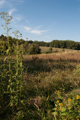 Fototapeta na wymiar Country panorama