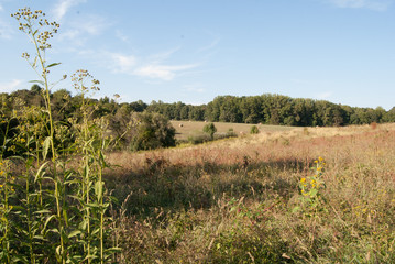 Fototapeta na wymiar Country panorama