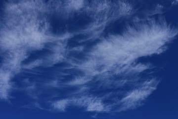 Fototapeta premium Clouds in the blue sky