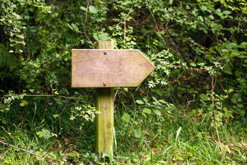 Wooden signpost in forest