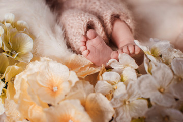 Feet of newborn girl touch beige flowers