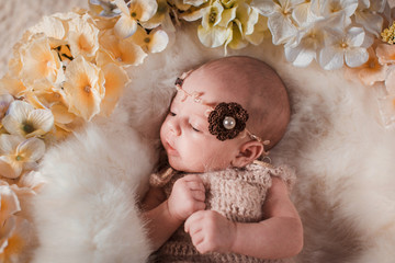 Brown flower with pearl inside beautifies a little head of a bab