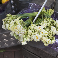 white terry daffodils in the aluminum basins