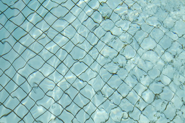 Fototapeta premium Swimming pool floor with light blue water and black grid between