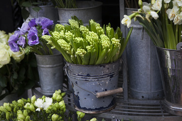 hyacinth plant surrounded by different flowers in flower store. Selective focus