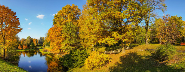 Fototapeta premium Beautiful colorful autumn.