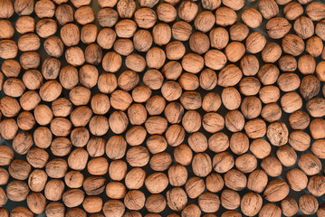 background texture of walnut