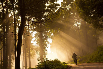 Cycling under light