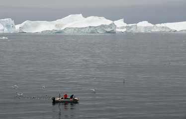 Boot vor Eisbergen in Grönland