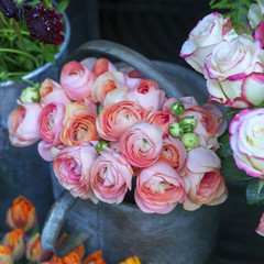 Bouquet of pink ranunculus