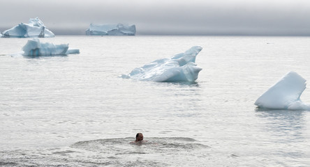 Schwimmen im Eis in Grönland