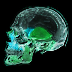 abstract human skull