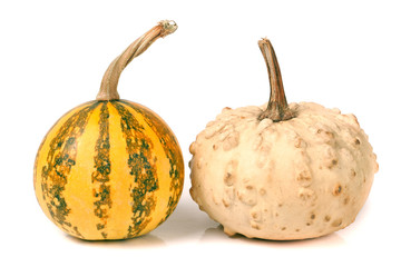 two decorative pumpkins isolated on white background