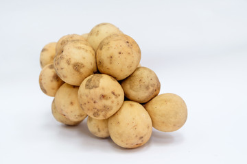 Langsat isolate (scientific name : Lansium domesticum)