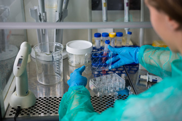 Preparing experiment in laboratory