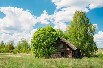 Abandoned Small Country Blockhouse In Exclusion Zone After Chernobyl Catastrophe