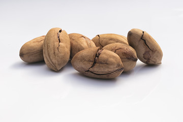 Pecan (Carya illinoinensis), edible nut