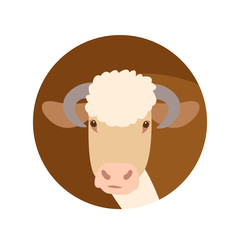 adult bull head  vector illustration style Flat