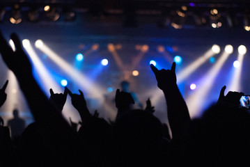 Fans auf einem Rockkonzert