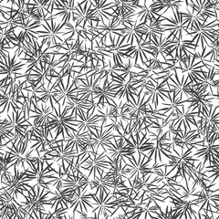 Conifer texture. Seamless vector pattern. Black and white  illustration